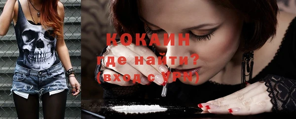 СК Няндома