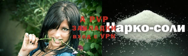 СК Осинники