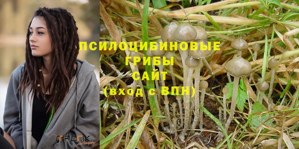 СК Осинники
